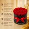 20 Preserved Roses, Forever Flowers for Delivery in Designer Round-Shaped Box